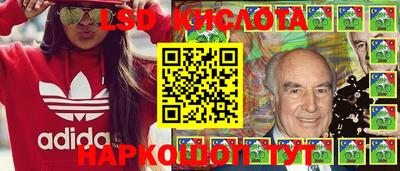 шишки Заводоуковск