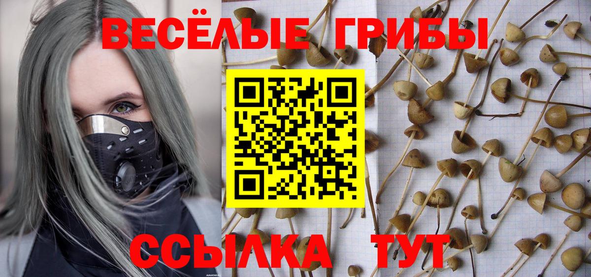 Галлюциногенные грибы MAGIC MUSHROOMS Кыштым